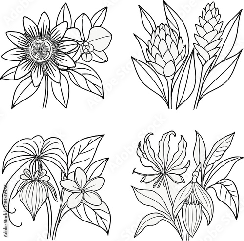Exotic floral icons set – outline, botanical and nature-inspired decorative elements