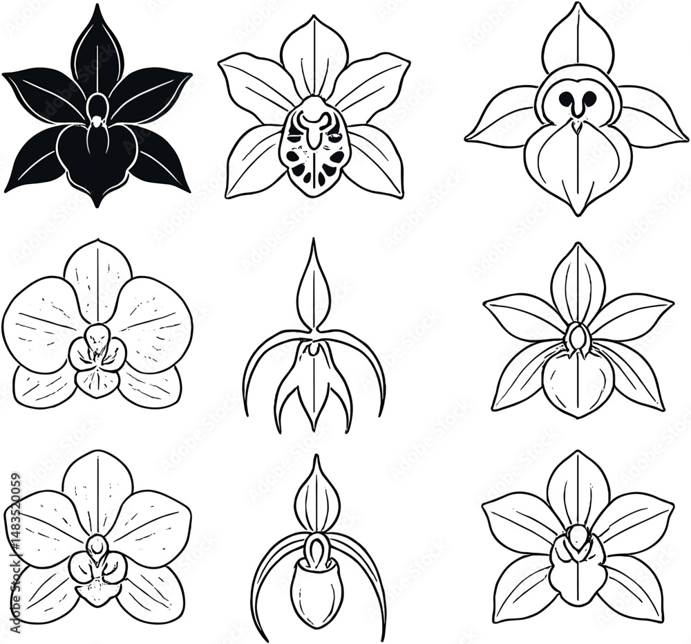 Exotic orchid icons set – outline, botanical and floral nature symbols Exotic orchid icons set – outline, botanical and floral nature symbols