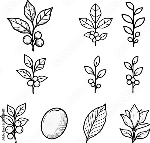 Coffee plant icons set – silhouette, botanical and nature symbol collection