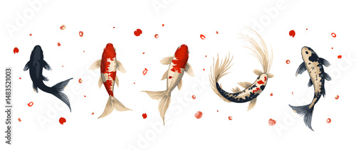 Sumi-e style koi fish illustration set with expressive brushwork, cherry blossom petals, and Zen-inspired Japanese ink art on white background (1)