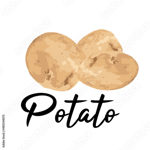 Potato illusration in flat style. Vector Cartoon Vegetable Clip Art of organic potato.