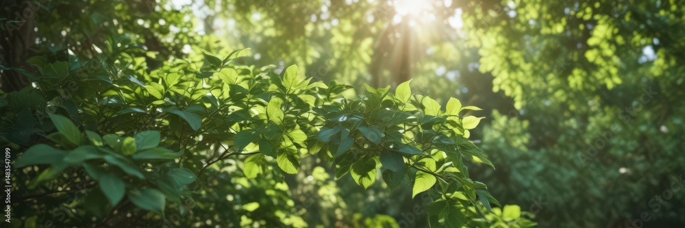 Blurred green leaves, dappled sunlight, soft focus, lush vegetation, natural, bokeh, vegetation Blurred green leaves, dappled sunlight, soft focus, lush vegetation, natural, bokeh, vegetation