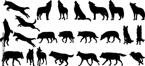 set of silhouettes of wolves in different poses, collection, vector