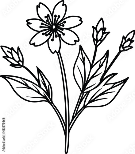 Elegant Black and White Floral Drawing