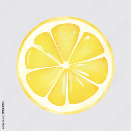 Fresh looking lemon or orange from top and front in watercolor style illustration. Delicious sour lemon hand drawn doodle vector for asset, poster, graphic element, design, book, sticker