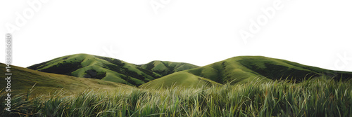 Green grass mountain isolated on transparent background