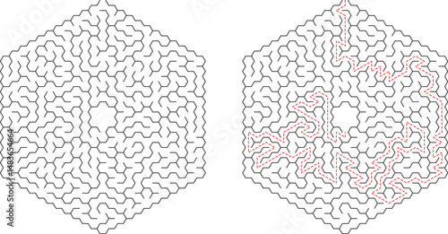 Hexagonal Maze Puzzle Solution Shown, Complex Path, Brain Teaser