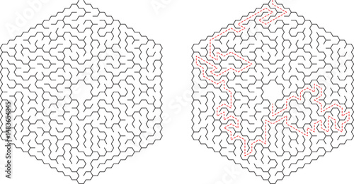 Hexagonal Maze Puzzle Solution, Path, Labyrinth, Game, Brain Teaser, Challenge, Complexity, Logic, S
