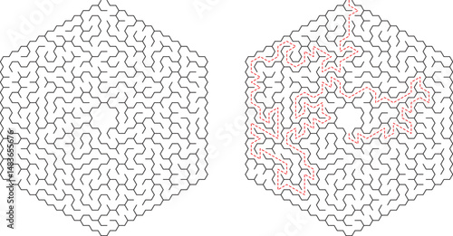 Hexagonal Maze Puzzle Solution Complex Pathfinding Brain Teaser