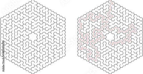 Hexagonal Maze Puzzle Solution Complex Pathfinding Brain Teaser