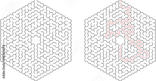 Hexagonal Maze Puzzle Solution Pathfinding Game Logic Brain Teaser