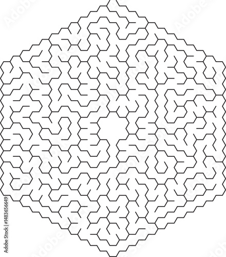 Complex Hexagonal Maze Puzzle Geometry, Lines, Paths, Labyrinth, Challenge, Solution, Intricate, Des