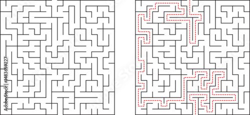 Complex Maze Puzzle Solution Solved Labyrinth Path Finding Game Challenge