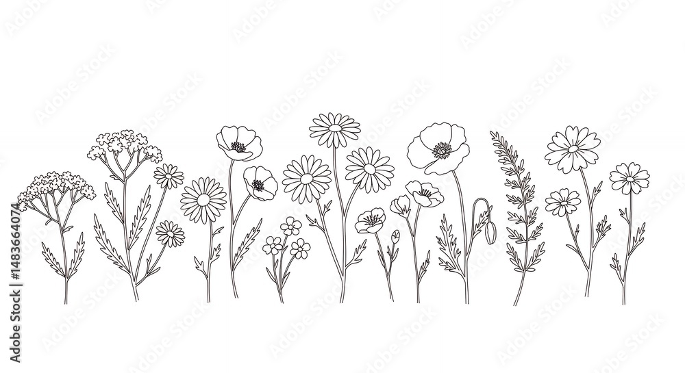 Naklejka premium Elegant line art flowers collection