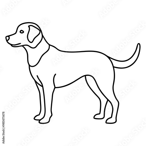 Vector illustration of a dog for pet care, animal services, and veterinary projects