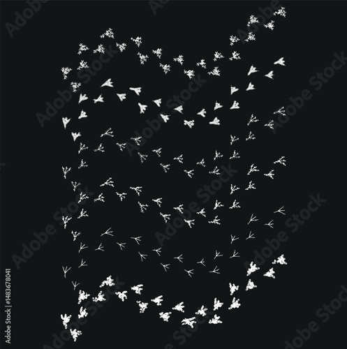 	
bird tracks,chicken tracks icon,vector illustration	
