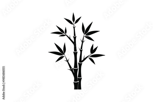 bamboo on white background