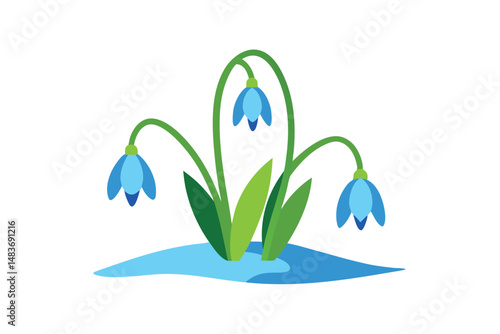spring snowdrop flowers