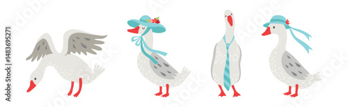 Grey Goose Character in Different Activity Vector Set
