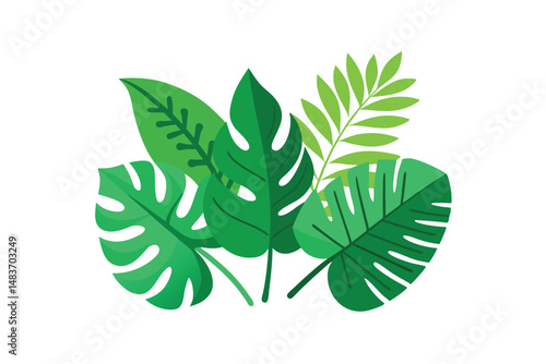green leaves isolated on white