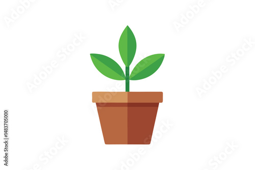 green plant in a pot