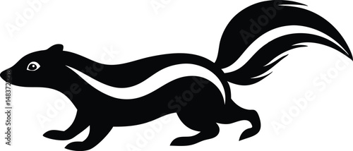 skunk vector illustration