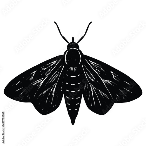 Fantasy Hybrid of Ghost Fish and Bug