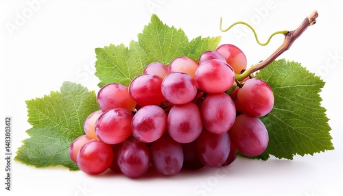 bunch of pink grapes on branch with green leaves isolated on white background as package design element