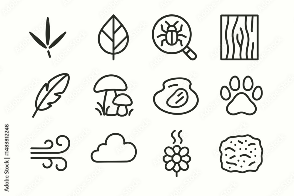 Collection of simple nature and animal line icons featuring leaves, mushrooms, and paw print Collection of simple nature and animal line icons featuring leaves, mushrooms, and paw print