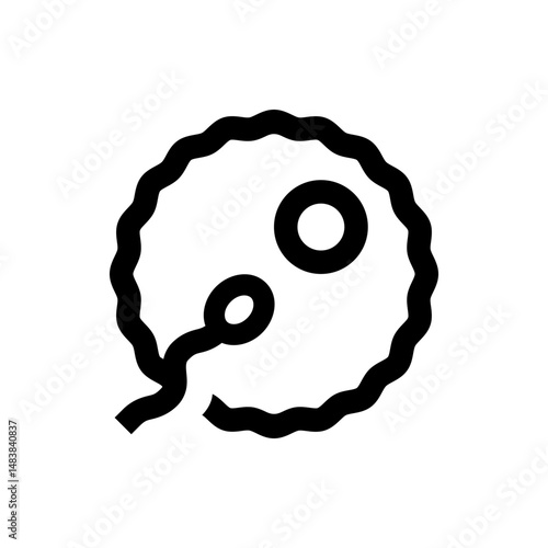 Illustration of a sperm cell fertilizing an egg with a wavy outer layer and circular nucleus outline