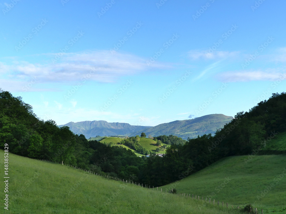 Fototapeta premium Etape 1 - Saint Jean Pied de Port à Roncevaux - Route Napoléon - Pyrénées - Camino Frances