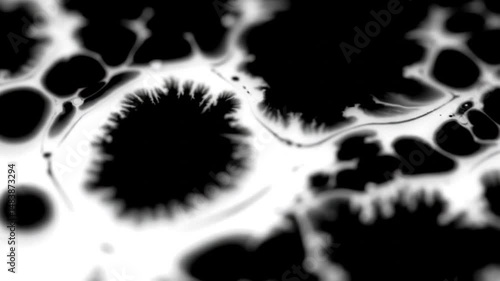 Wallpaper Mural Abstract Black Ink Expanding on White Surface Creating Organic Shapes Torontodigital.ca