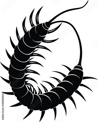 Centipede Silhouette With Curved Body