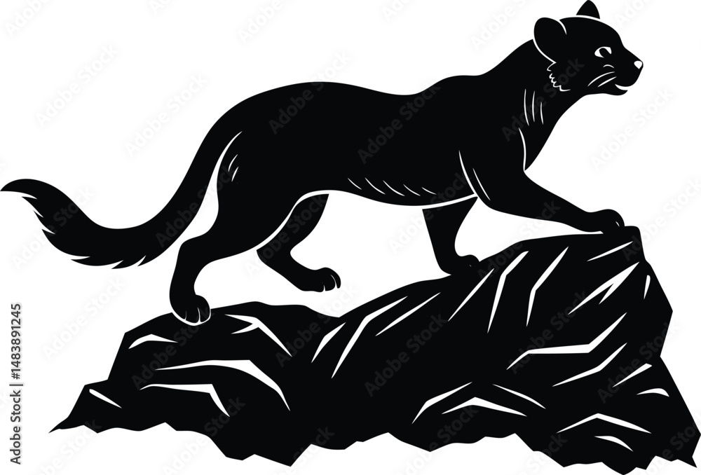 Fototapeta premium Fossa Silhouette Mid Leap on a Rocky Surface