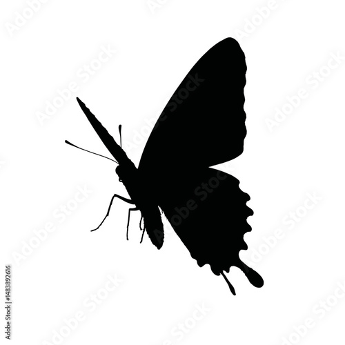 Solid black silhouette of a butterfly fluttering