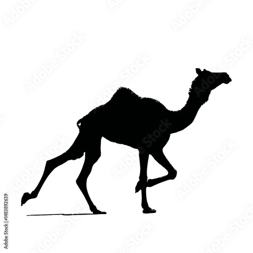 Solid black silhouette of a camel running