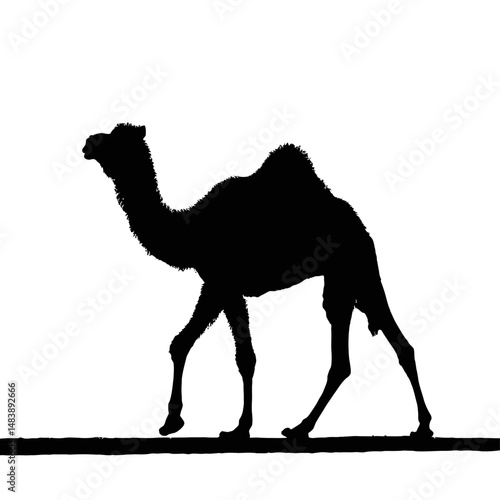 Solid black silhouette of a camel walking