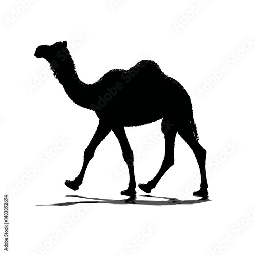 Solid black silhouette of a camel walking