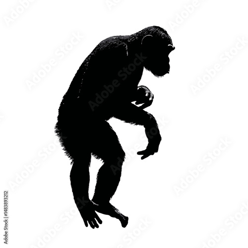Solid black silhouette of a chimpanzee playing