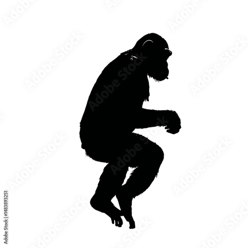 Solid black silhouette of a chimpanzee playing
