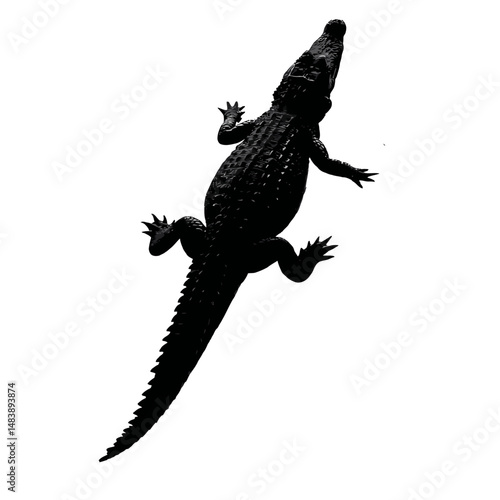 Solid black silhouette of a crocodile swimming