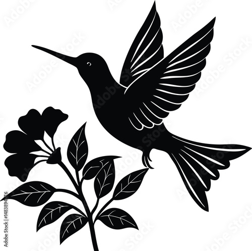 Hummingbird Silhouette Hovering Over Flower