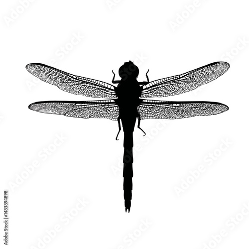 Solid black silhouette of a dragonfly hovering
