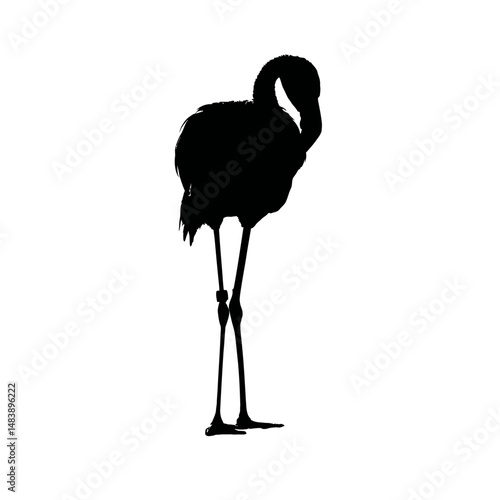 Solid black silhouette of a flamingo preening