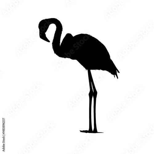 Solid black silhouette of a flamingo preening