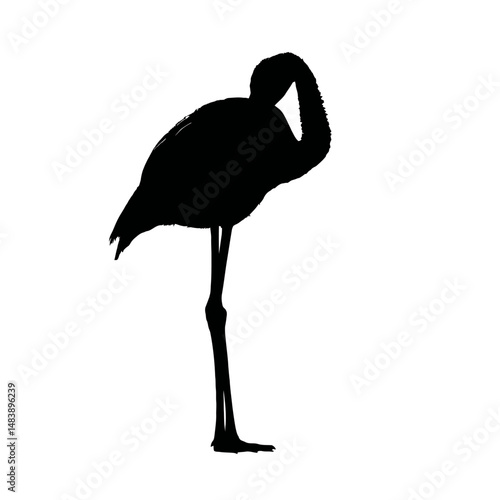 Solid black silhouette of a flamingo preening