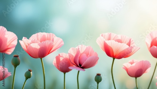 Delicate pink poppies in full bloom with ethereal background  a dreamy digital illustration of natures beauty