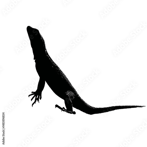 Solid black silhouette of a lizard basking
