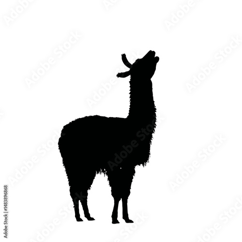 Solid black silhouette of a llama spitting