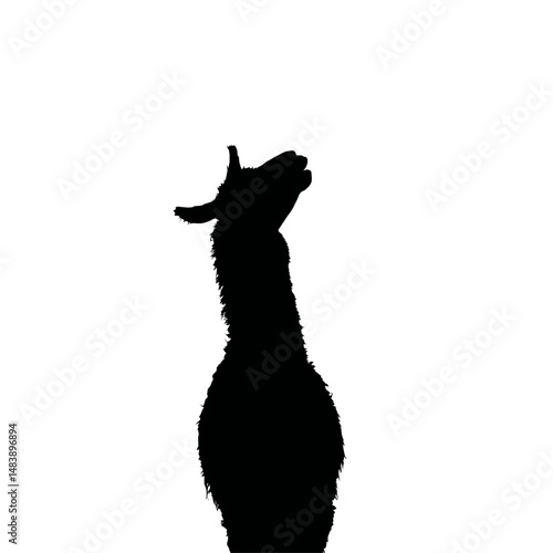 Solid black silhouette of a llama spitting
